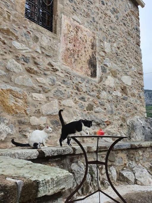 A Small Paradise In Mani With Local Hospitality Orovas Esterno foto